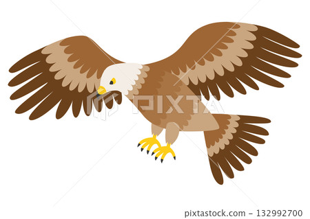 Hawk, hawk, eagle, illustration material 132992700