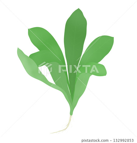 Illustration of the seven herbs of spring, Gogyo 132992853