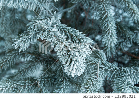 Close-up of frosty spruce branches covered. Winter nature texture with cold blue tones, detailed needles and seasonal frozen Christmas atmosphere. Blue blurred background. Defocused Close-up of frosty spruce branches covered. Winter nature texture with cold blue tones, detailed needles and seasonal frozen Christmas atmosphere. Blue blurred background. Defocused 132993021