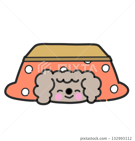 A toy poodle smiling while sitting in a kotatsu 132993112