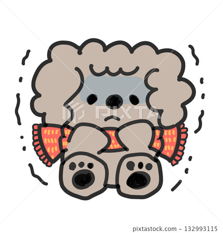 A toy poodle shivering in a scarf A toy poodle shivering in a scarf 132993115