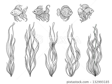 Aquarium set with ornamental fish and swaying seaweed 132993185