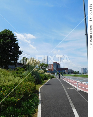 潘帕斯草 日本國際協力機構 橫濱泛太平洋 132993415