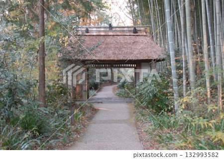 東山岸故居的茅草大門（靜岡縣禦殿場市） 132993582