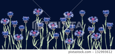 Blooming knapweed flowers in vivid blue and purple shades. Seamless watercolor border isolated on black background, perfect for botanical patterns, invitations, packaging, and rustic summer designs 132993612