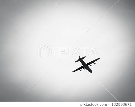 The plane I saw that day 132993671