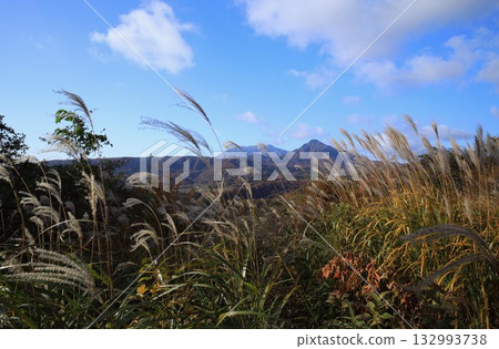大山秋葉最美 大山秋葉最美 132993738