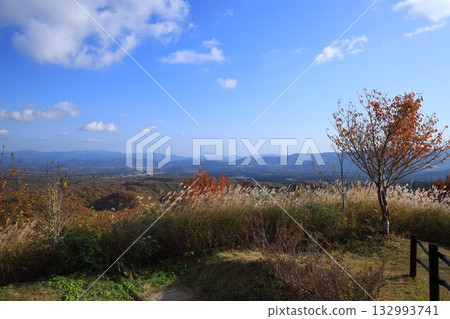Autumn leaves at their best at Mt. Daisen Autumn leaves at their best at Mt. Daisen 132993741