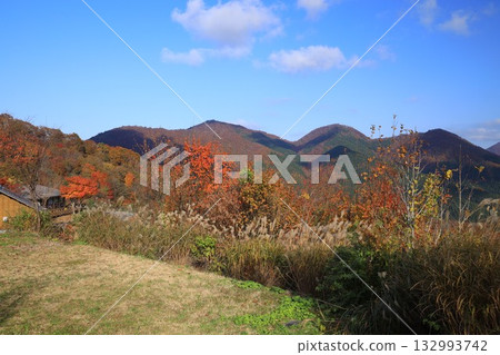 大山秋葉最美 大山秋葉最美 132993742