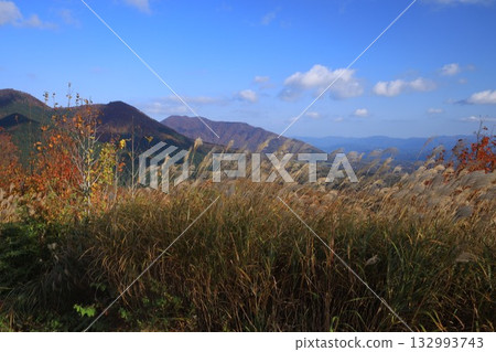 大山秋葉最美 大山秋葉最美 132993743