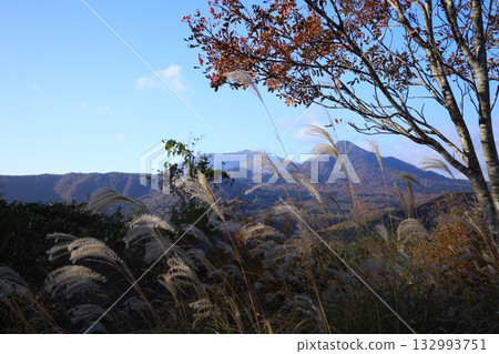 大山秋葉最美 大山秋葉最美 132993751