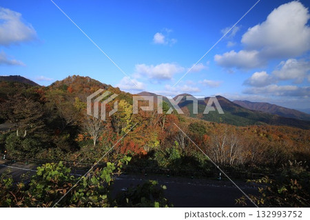 Autumn leaves at their best at Mt. Daisen Autumn leaves at their best at Mt. Daisen 132993752