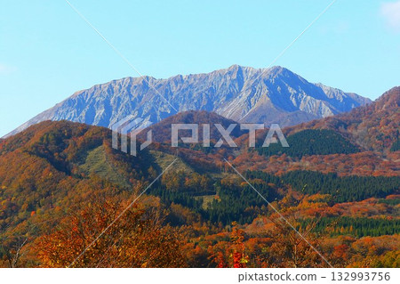 Autumn leaves at their best at Mt. Daisen Autumn leaves at their best at Mt. Daisen 132993756