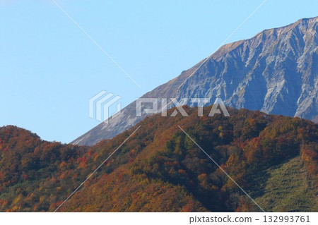 大山秋葉最美 大山秋葉最美 132993761