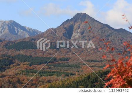 大山秋葉最美 大山秋葉最美 132993762