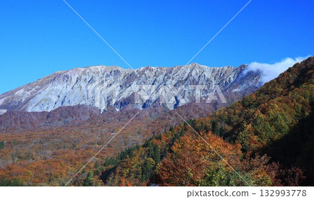 大山秋葉最美 132993778