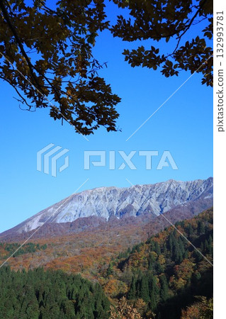 大山秋葉最美 大山秋葉最美 132993781