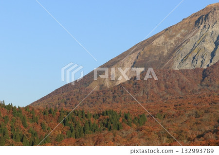 大山秋葉最美 大山秋葉最美 132993789