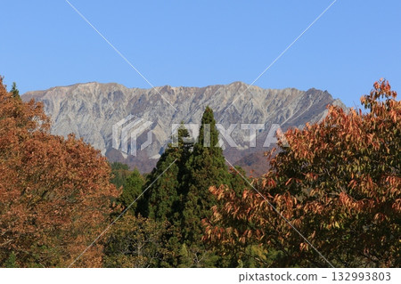 大山秋葉最美 大山秋葉最美 132993803