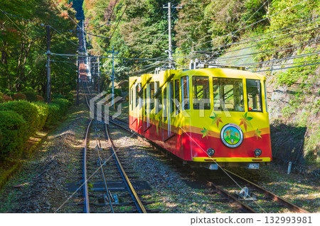 高尾山紅葉纜車 高尾山紅葉纜車 132993981