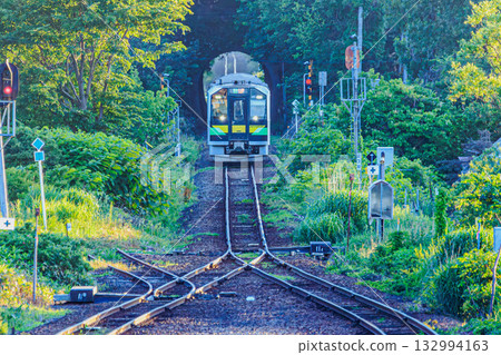 A train passing through a tunnel of fresh greenery (JR Hakodate Main Line) A train passing through a tunnel of fresh greenery (JR Hakodate Main Line) 132994163