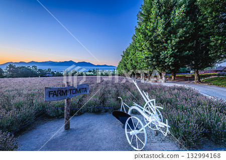 北海道富良野花田甦醒的那一刻 132994168