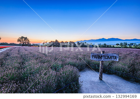 富良野美瑛的花田與晨曦 132994169