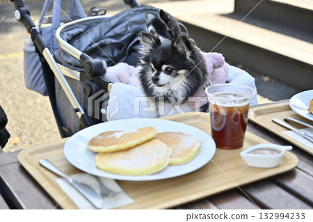 一位女士和她的吉娃娃犬在咖啡館的露臺上放鬆休息 132994233