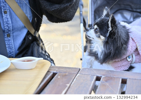一位女士和她的吉娃娃犬在咖啡館的露臺上放鬆休息 132994234