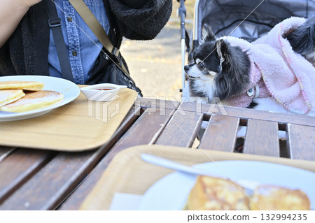 A woman and her Chihuahua relaxing on the terrace of a cafe A woman and her Chihuahua relaxing on the terrace of a cafe 132994235