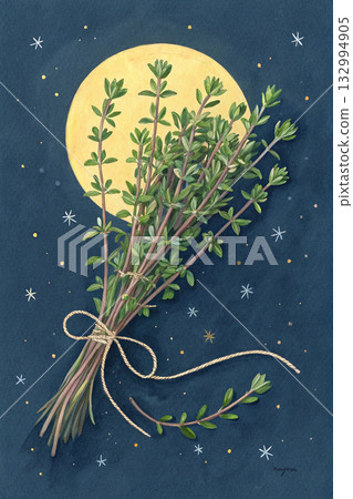 bunch of dill on black background 132994905