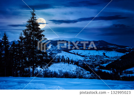 village in mountains at night. winter landscape covered with snow in full moon light. trees on rolling hills. background for investment or abstract concepts village in mountains at night. winter landscape covered with snow in full moon light. trees on rolling hills. background for investment or abstract concepts 132995023