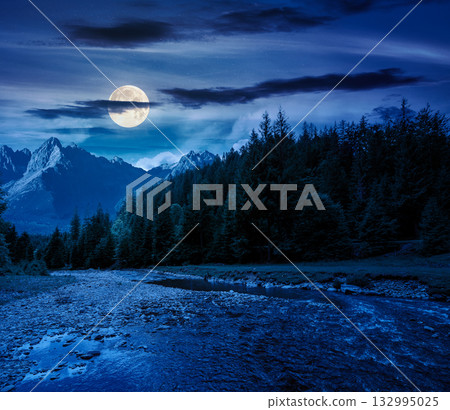 landscape with mountains, forest and a river in front at night. beautiful scenery in summer in full moon light. water flowing through park. nature background for investment or abstract concepts 132995025