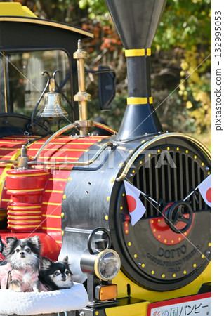 火車和吉娃娃，秋葉銀杏樹 132995053