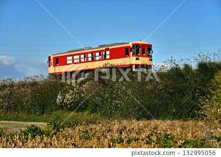 天城鐵道柴油列車駛過潘帕斯草原 天城鐵道柴油列車駛過潘帕斯草原 132995056