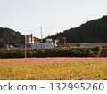 Autumn sky, cement factory and cosmos field 132995260