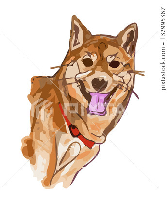 可愛的柴犬插圖 可愛的柴犬插圖 132995367