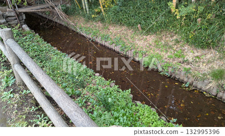 Senoragi of Ogawa 132995396