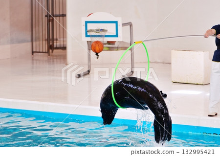 Fur seal performance 132995421