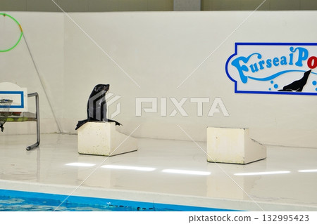 Fur seal performance 132995423