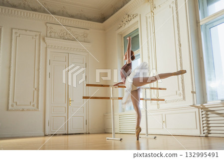 Young ballerina in tutu skirt stretching practicing ballet positions dancing near ballet barre in dance class. Young classical dancer woman in dance studio. Ballet class training Ballet school concept Young ballerina in tutu skirt stretching practicing ballet positions dancing near ballet barre in dance class. Young classical dancer woman in dance studio. Ballet class training Ballet school concept 132995491