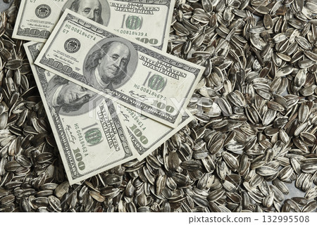 Dollars banknotes and sunflower seeds, oleaginous Commodity value concept. 132995508