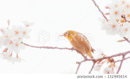 Medicine that sticks to the branches of cherry blossoms 132995614