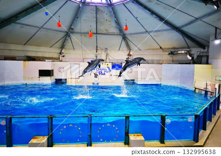 海豚表演風景 海豚表演風景 132995638