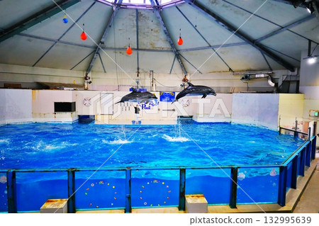 海豚表演風景 132995639