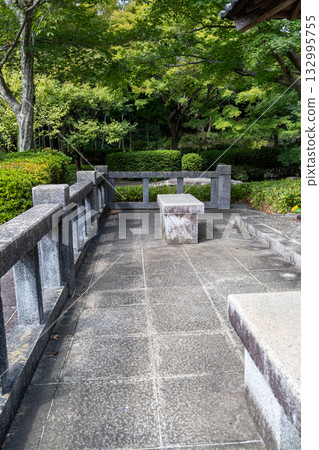 Oiso Castle Park: A landscape with a park pond (Oiso Town, Kanagawa Prefecture) 132995755