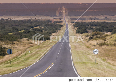 Flowered field in the Pampas Plain, La Pampa Province, Patagonia, Argentina. Flowered field in the Pampas Plain, La Pampa Province, Patagonia, Argentina. 132995852