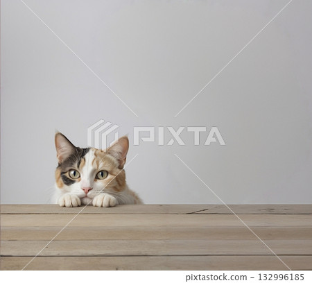 Calico cat gazing across the table Calico cat gazing across the table 132996185