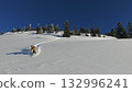 Ski enthusiast carving through pristine powdered snow on mountain 132996241