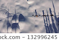 Explorers pulling sleds across snowy landscape 132996245